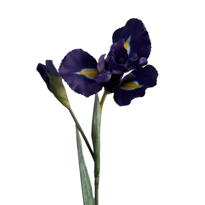 Iris — Indigo Purple