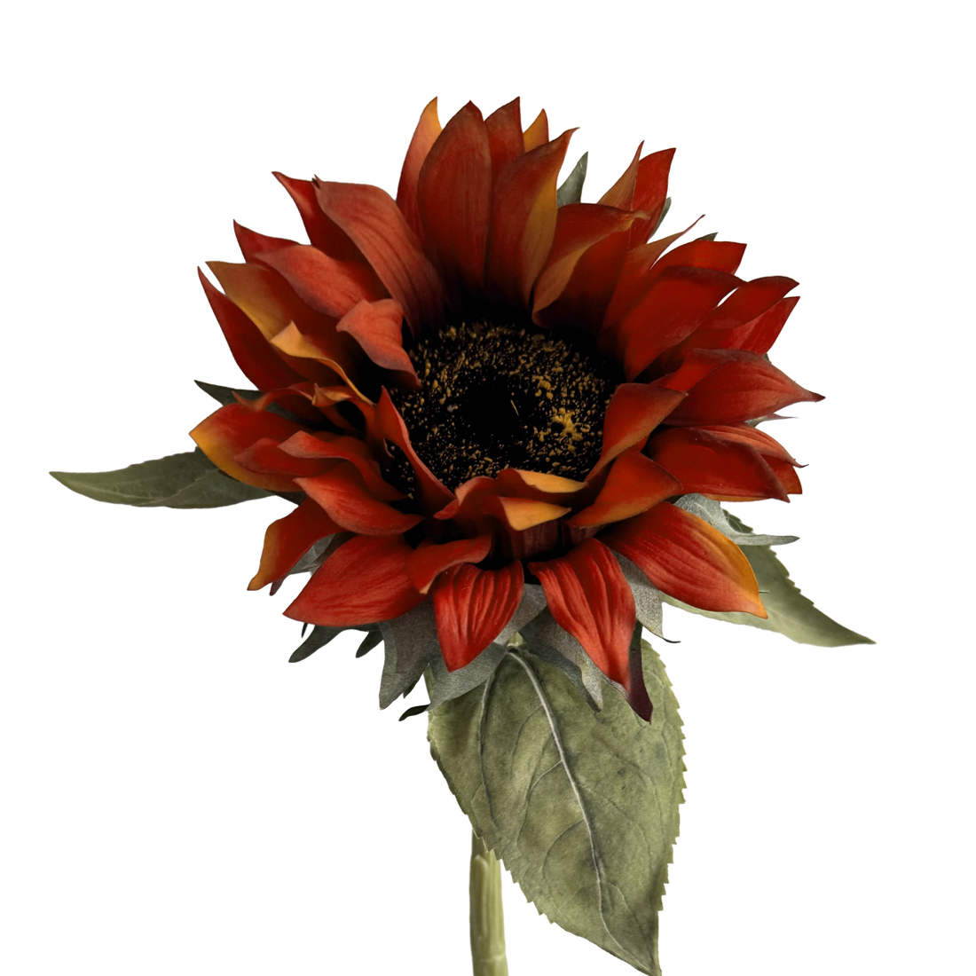 Sunflower — Deep Orange