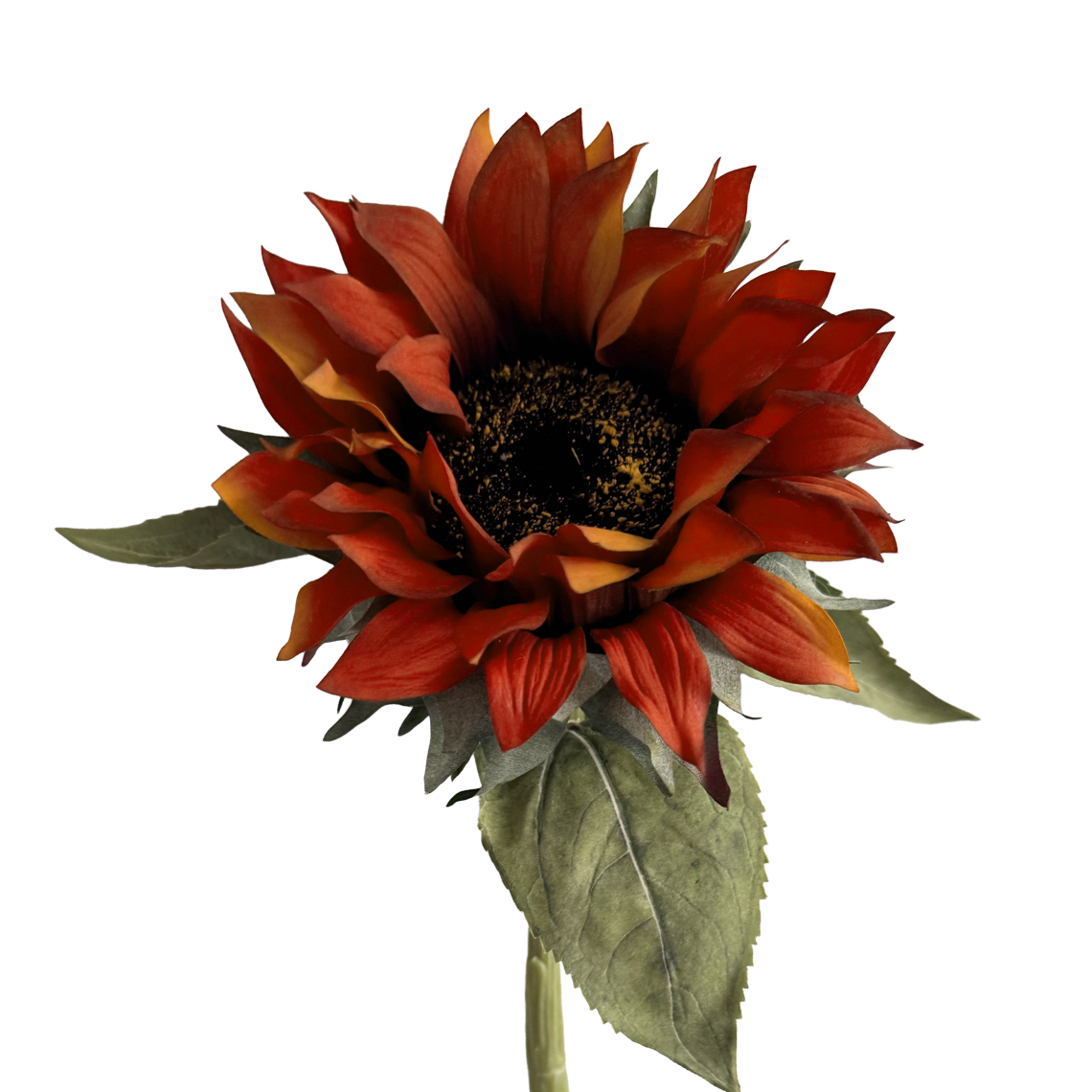 Sunflower — Deep Orange