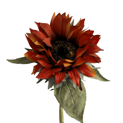 Sunflower — Deep Orange