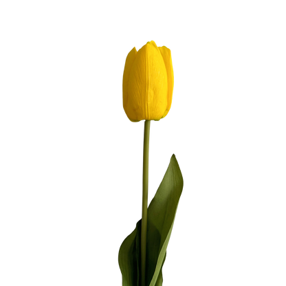 Tulip — Vivid Yellow