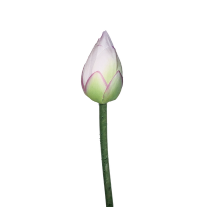 Zen Lotus Bud — Misty White