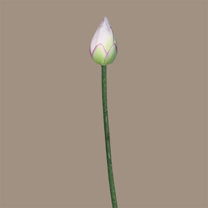 Zen Lotus Bud — Misty White