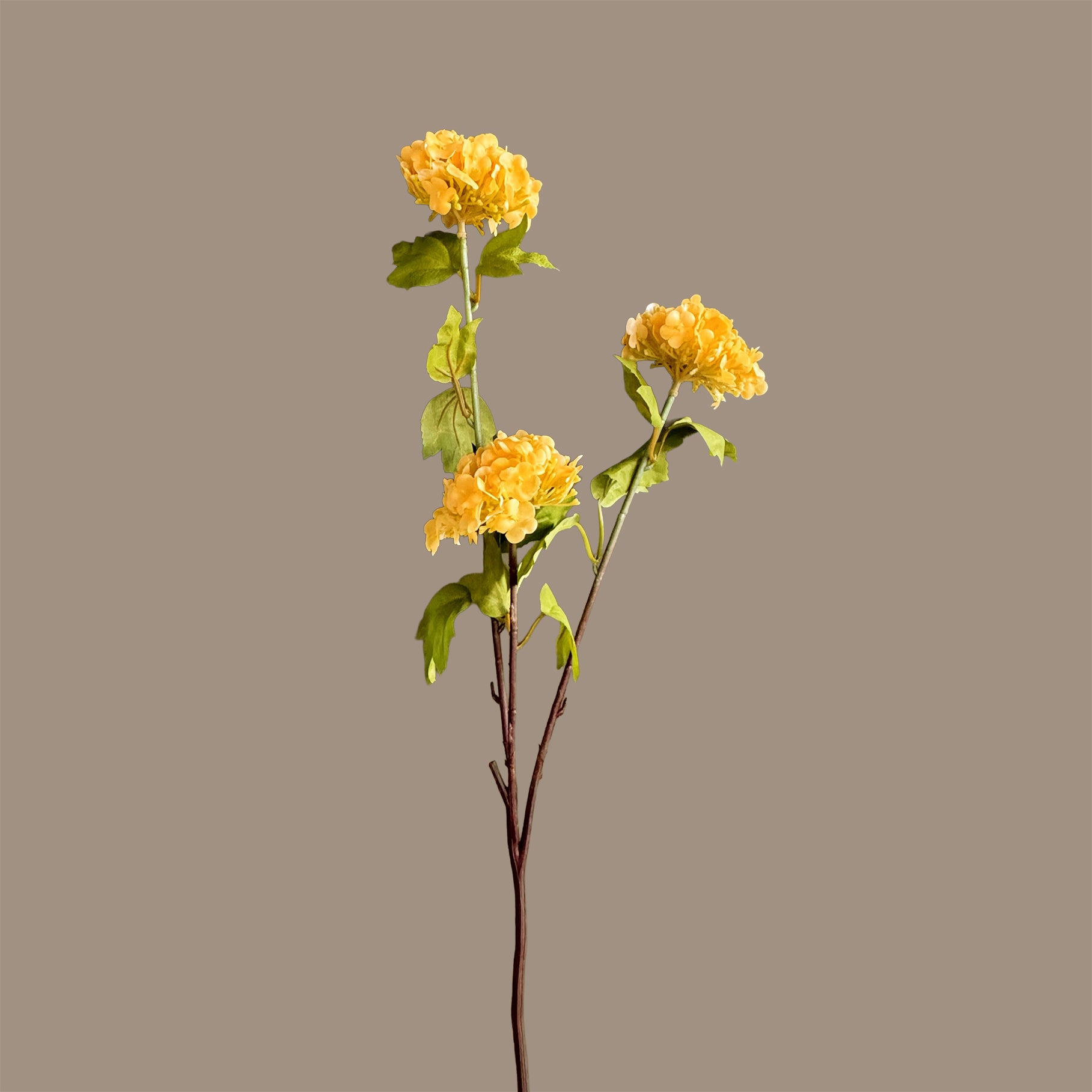 Hydrangea Tricluster Spray — Sunlit