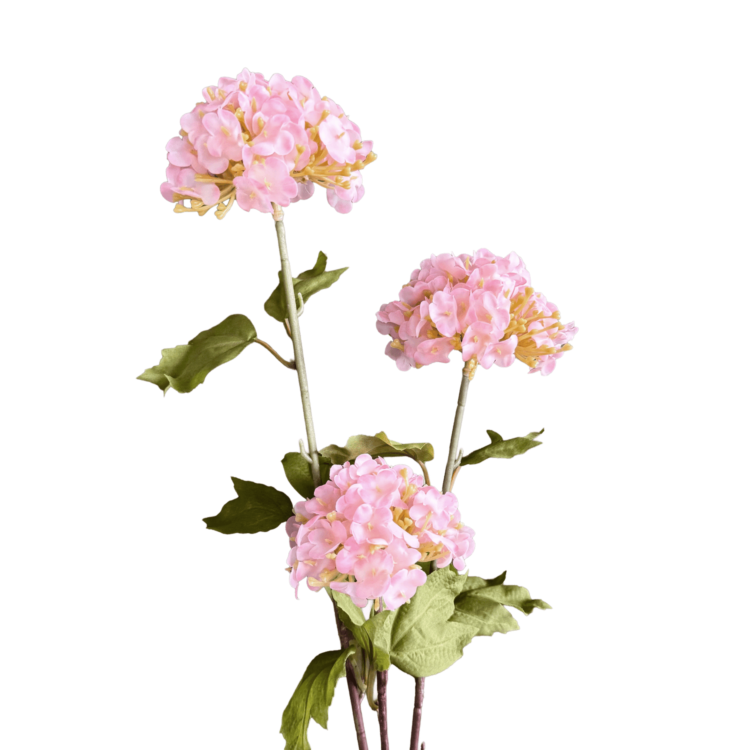 Hydrangea Tricluster Spray — Petal Pink