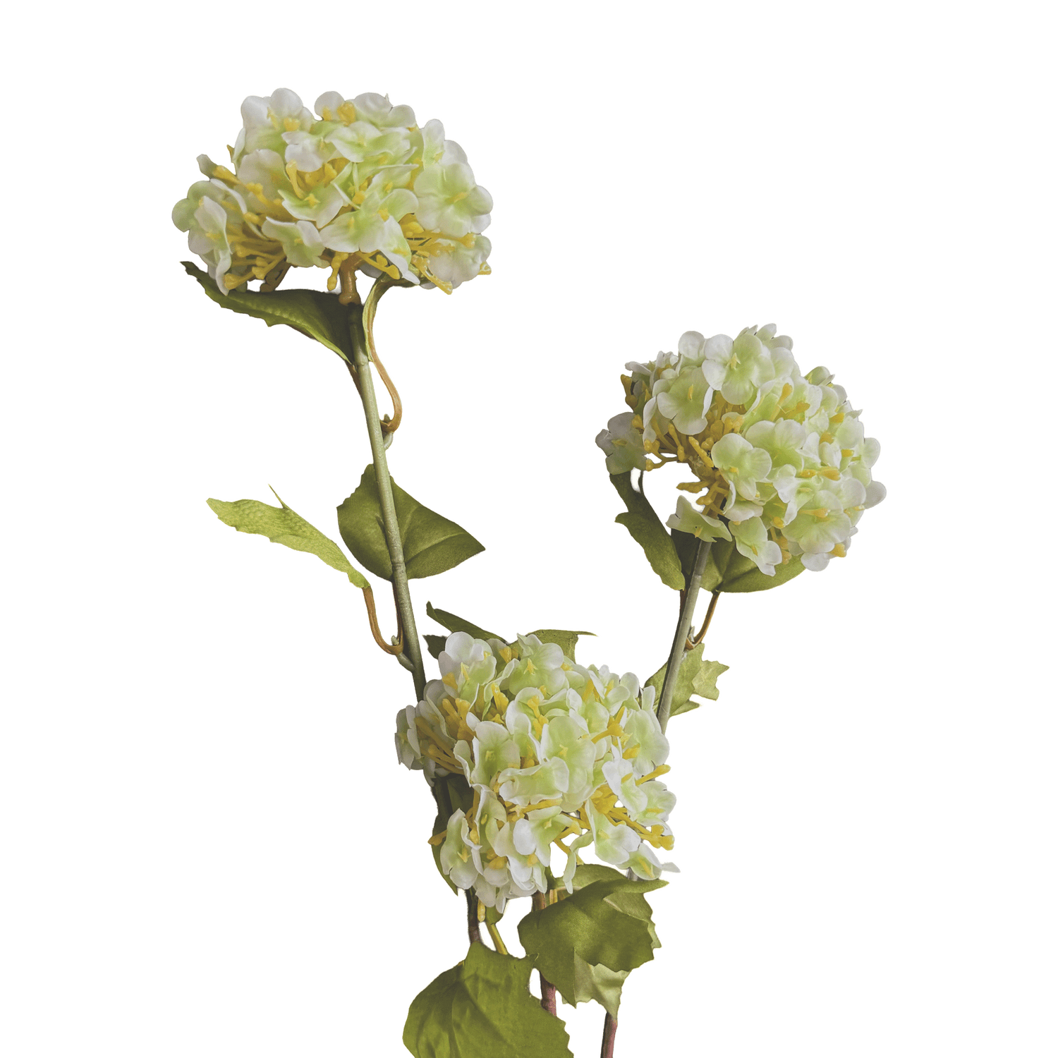 Hydrangea Tricluster Spray — Watermint