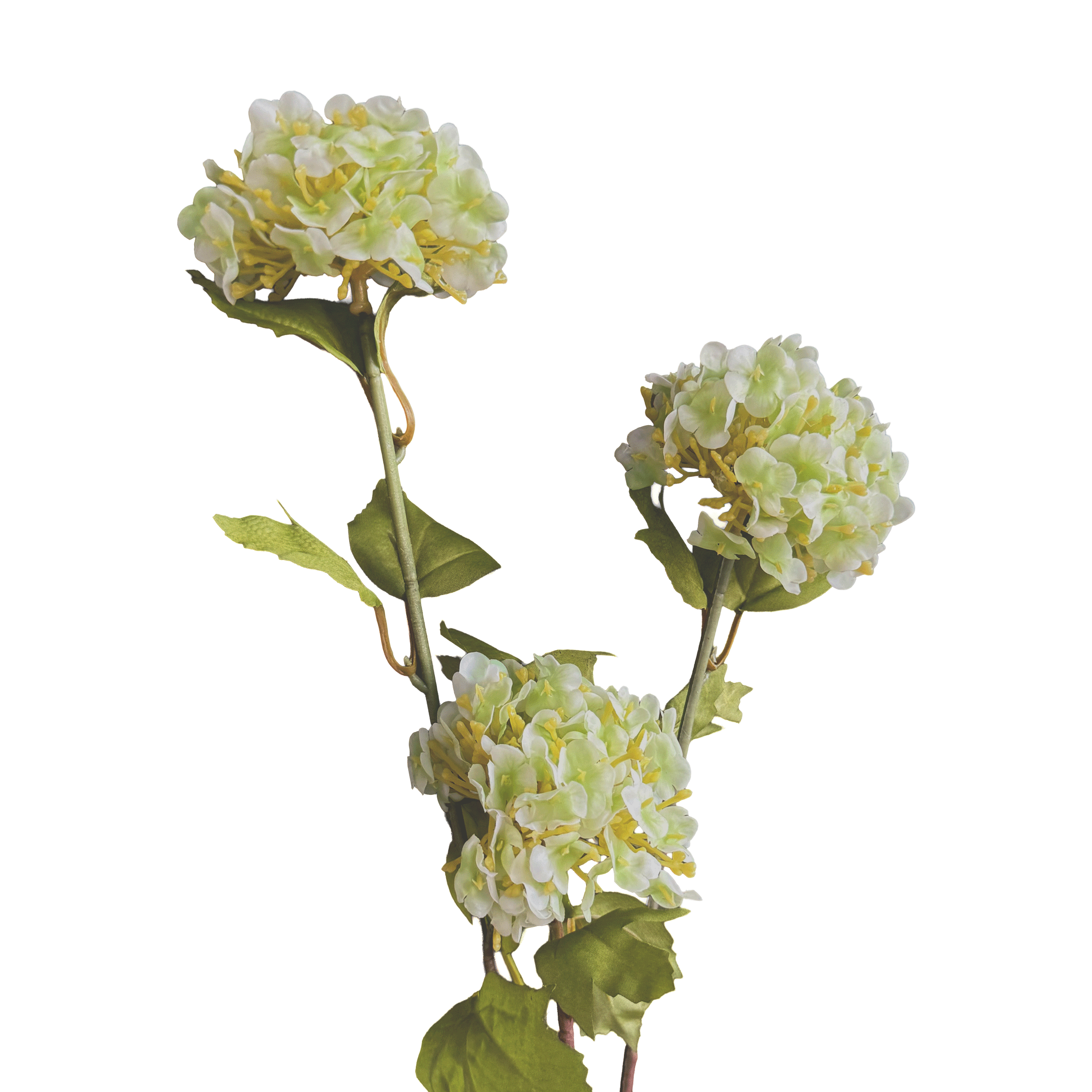 Hydrangea Tricluster Spray — Watermint