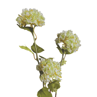 Hydrangea Tricluster Spray — Watermint