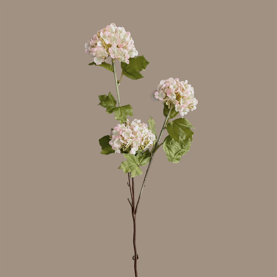 Hydrangea Tricluster Spray — Whisper Blush