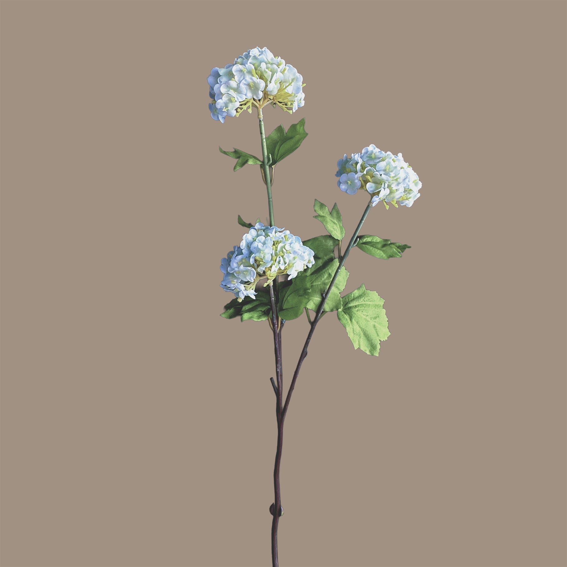 Hydrangea Tricluster Spray — Stillwater Blue