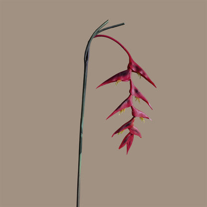 Heliconia (Trailing) — Deep Crimson
