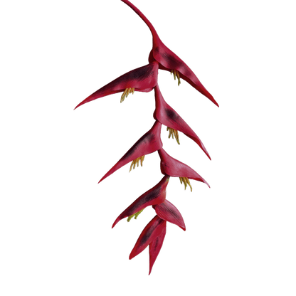 Heliconia (Trailing) — Deep Crimson