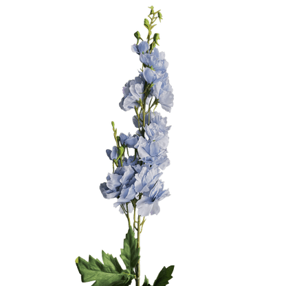 Delphinium — Celeste Blue