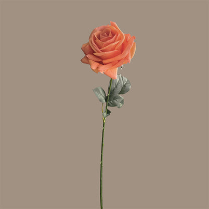 Artful Garden Rose — Mandarin Orange