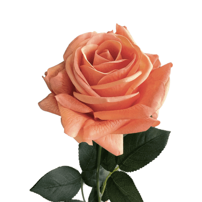 Artful Garden Rose — Mandarin Orange