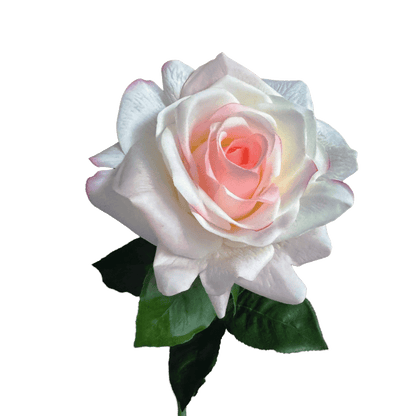 Aristocratic Rose — Rosewater Ivory