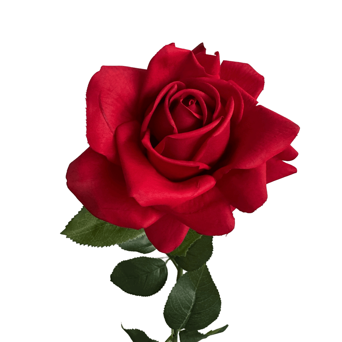 Aesthetic Modular Leaf Ensemble Rose — Crimson Red