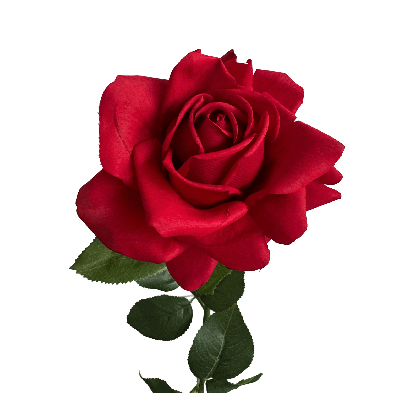 Aesthetic Modular Leaf Ensemble Rose — Crimson Red