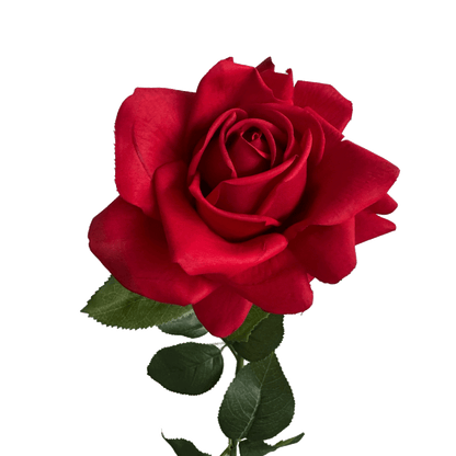 Aesthetic Modular Leaf Ensemble Rose — Crimson Red