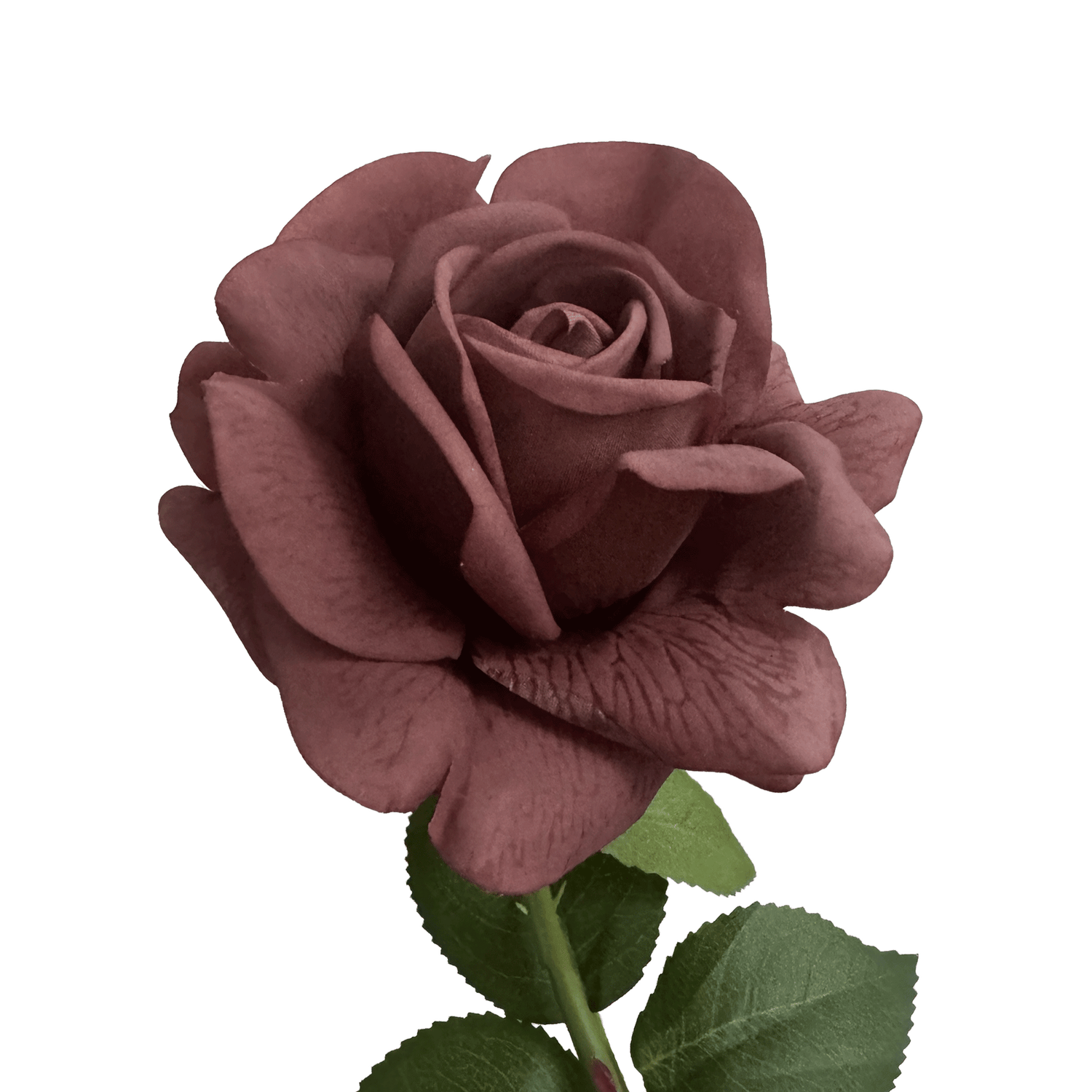 Aesthetic Modular Leaf Ensemble Rose — Morandi Rouge