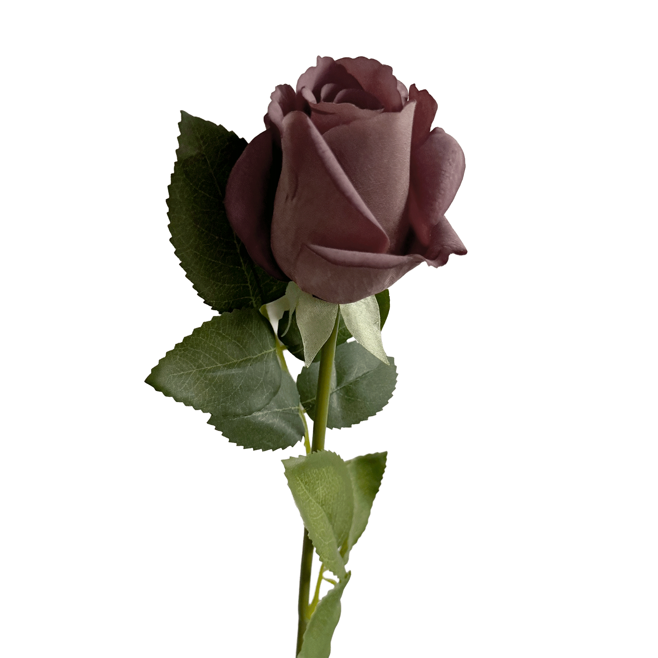 Elegance Modular Leaf Ensemble Rose — Morandi Rouge