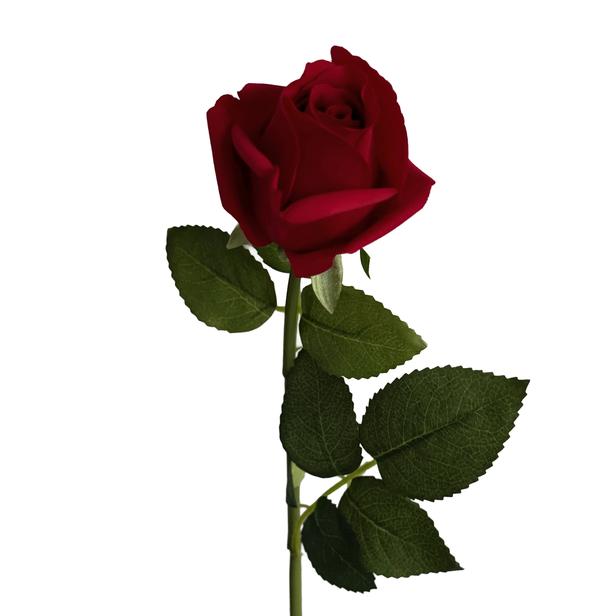 Elegance Modular Leaf Ensemble Rose — Garnet Red