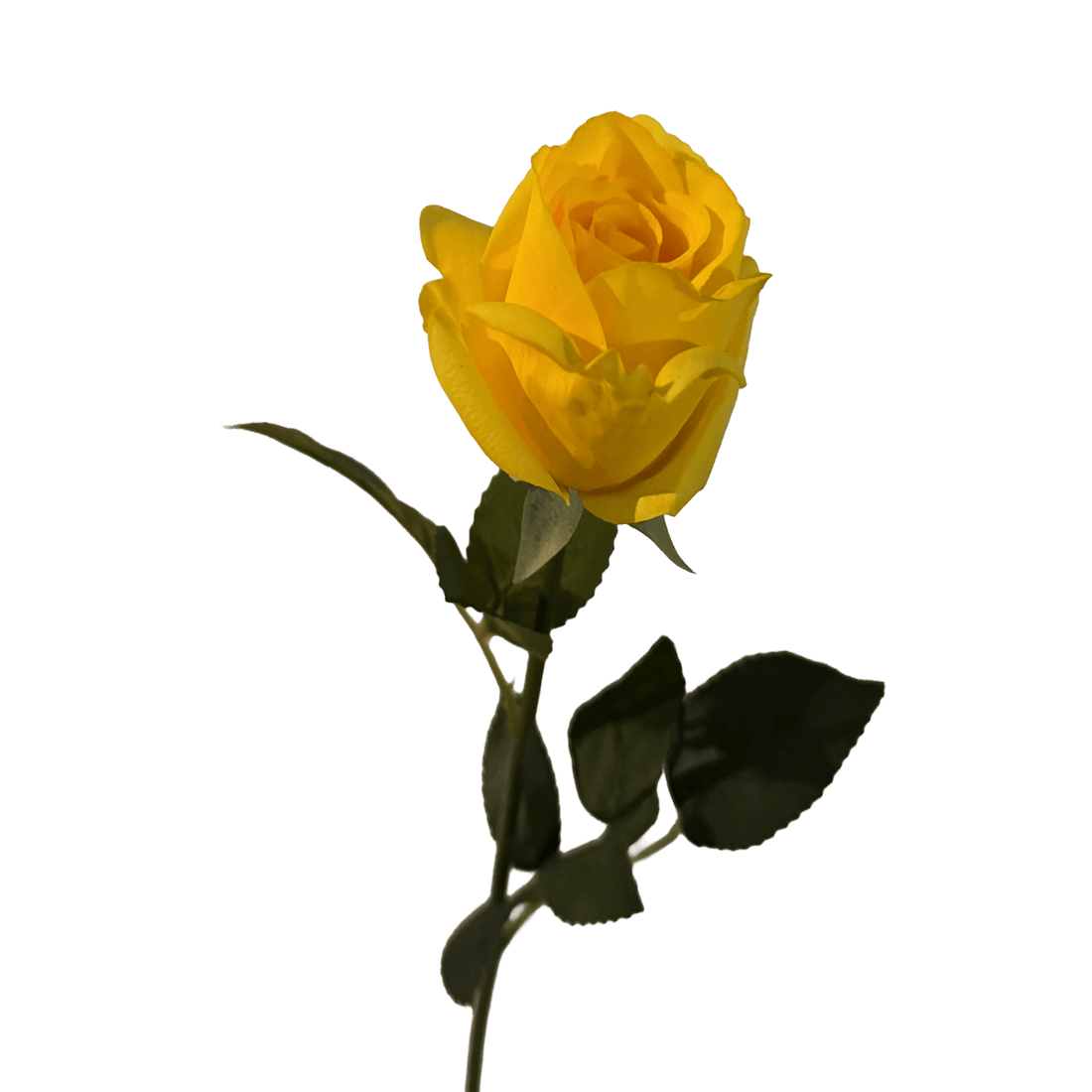 Elegance Modular Leaf Ensemble Rose — Citrine Yellow