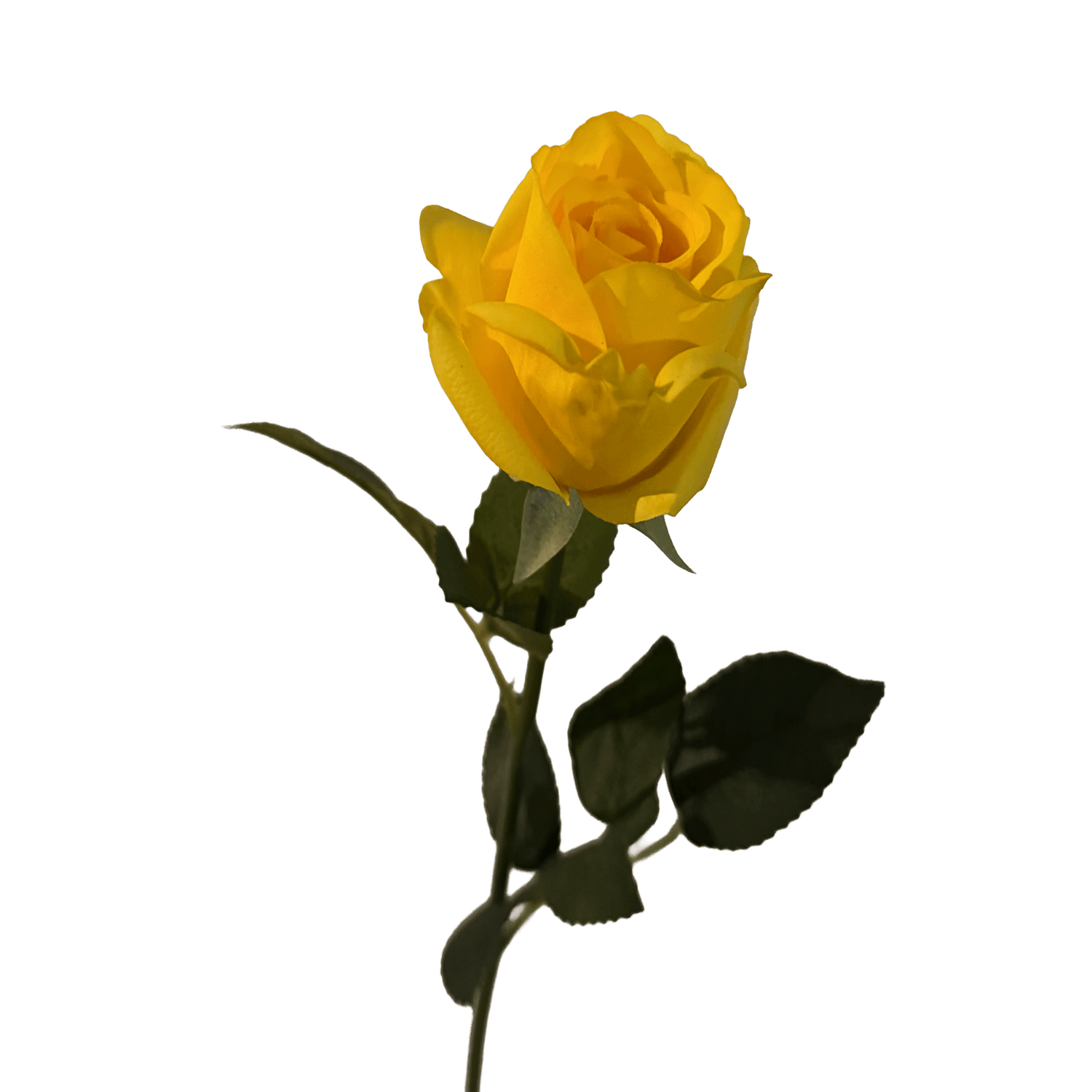 Elegance Modular Leaf Ensemble Rose — Citrine Yellow