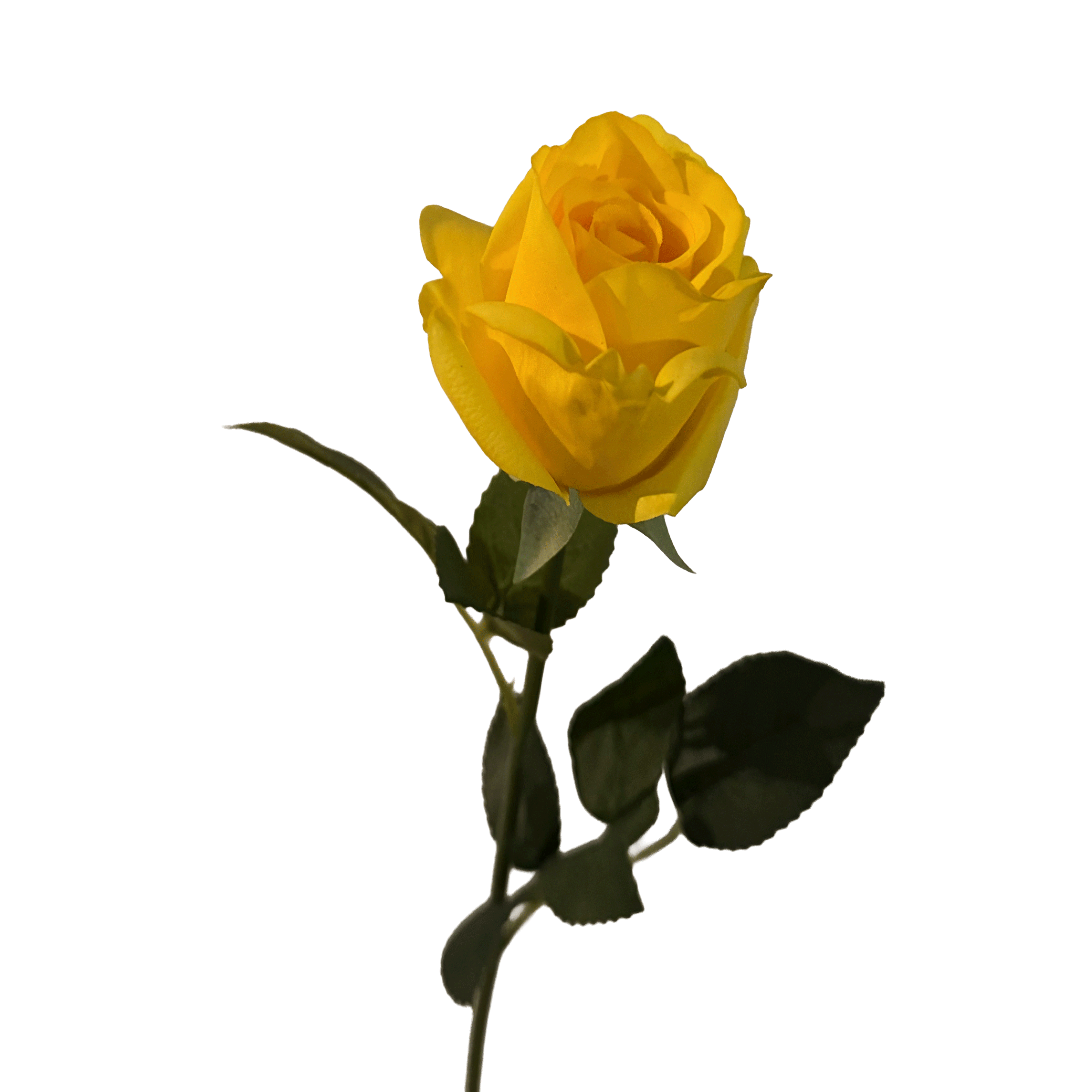 Elegance Modular Leaf Ensemble Rose — Citrine Yellow