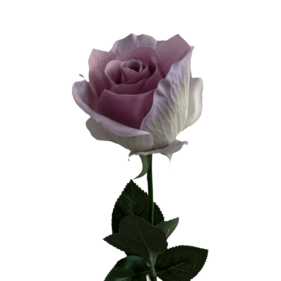Heritage-inspired Rose — Lilac Porcelain