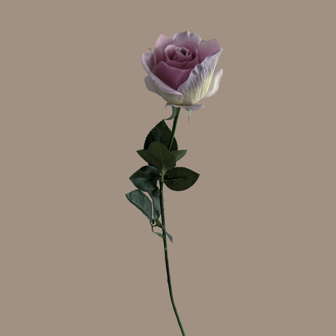 Heritage-inspired Rose — Lilac Porcelain