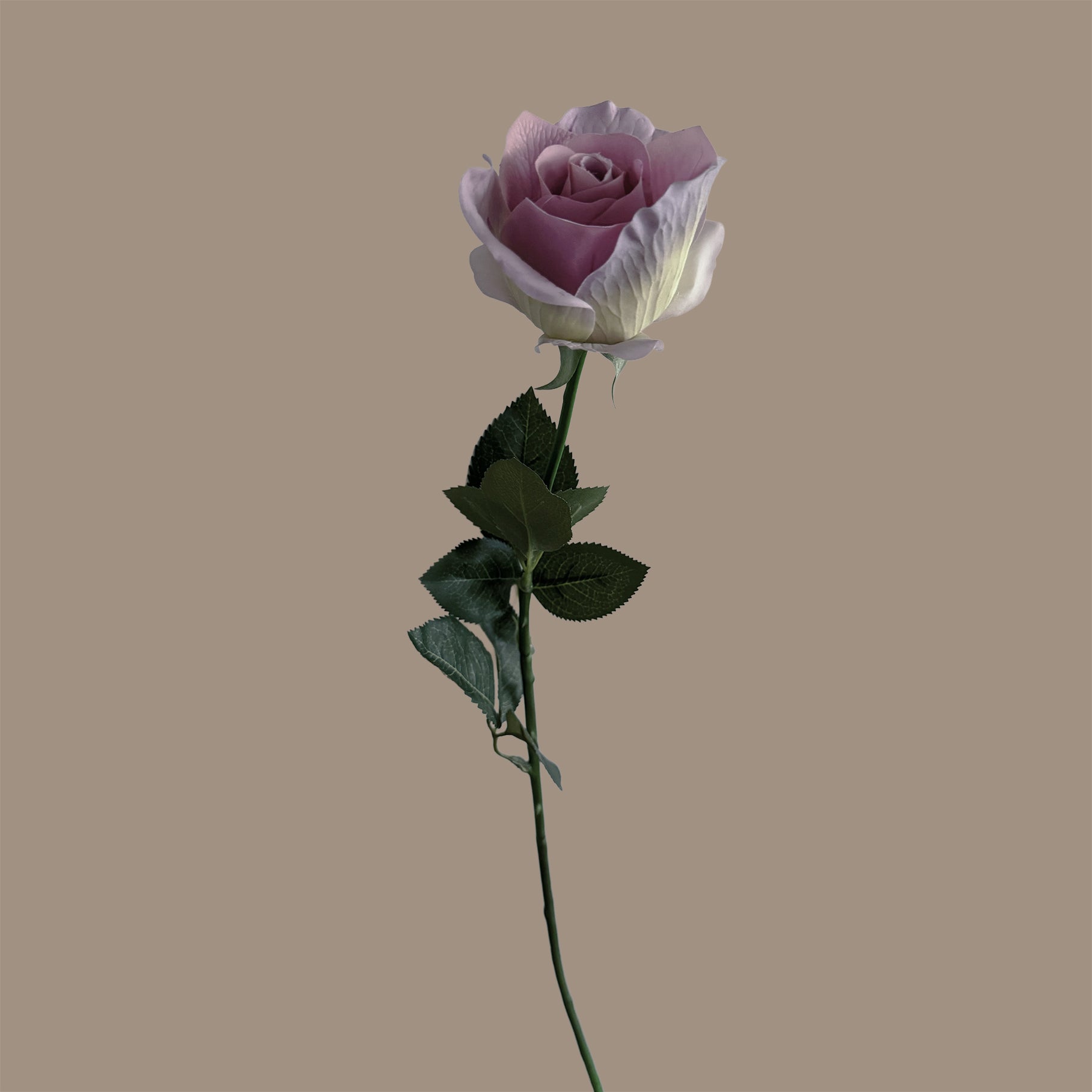 Heritage-inspired Rose — Lilac Porcelain