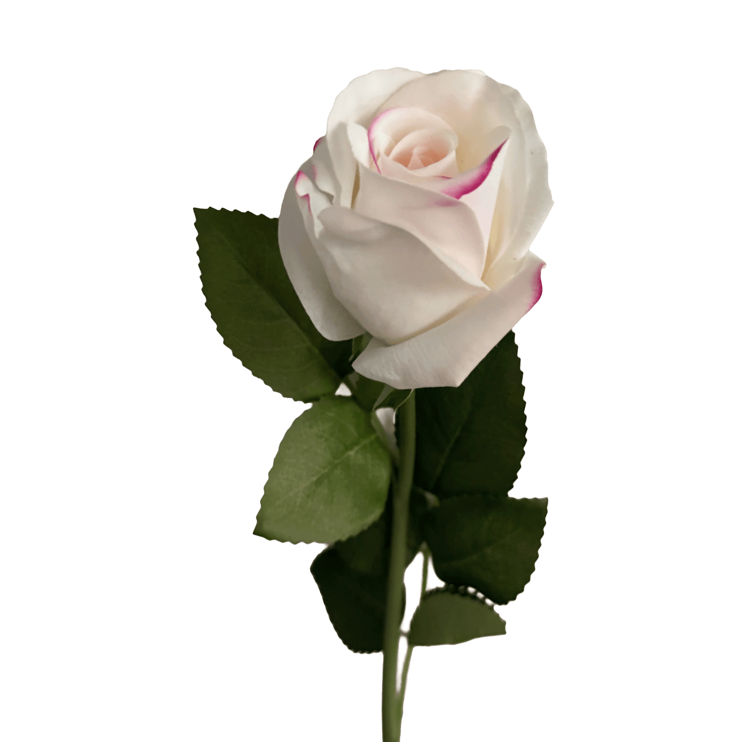 Elegance Modular Leaf Ensemble Rose — Pearl White