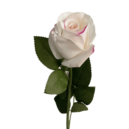 Elegance Modular Leaf Ensemble Rose — Pearl White