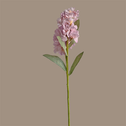 Stock Flower — Shell Pink