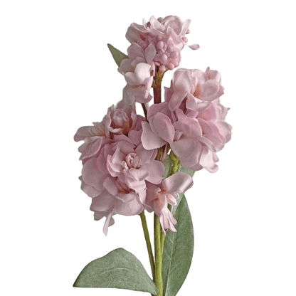 Stock Flower — Shell Pink