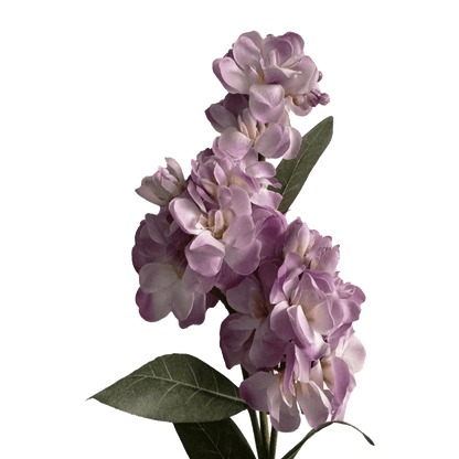Stock Flower — Wisteria Purple