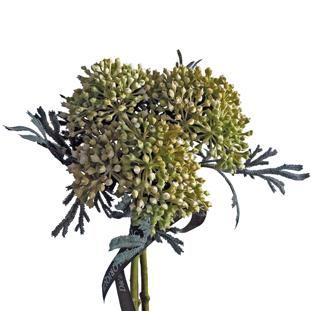 Skimmia Bud Ball (Fernleaf Edit) — Green Ivory