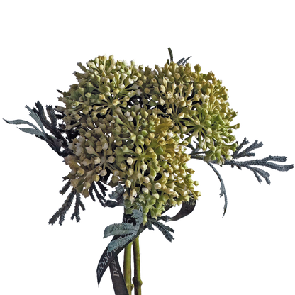 Skimmia Bud Ball (Fernleaf Edit) — Green Ivory