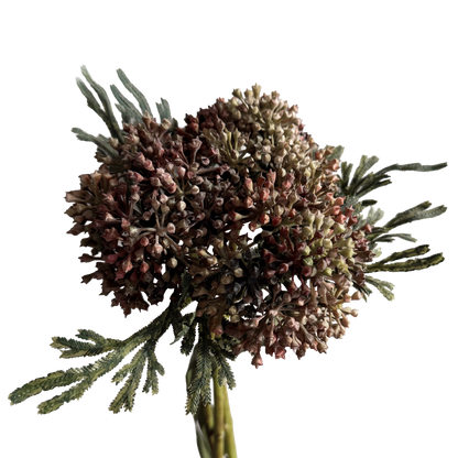 Skimmia Bud Ball (Fernleaf Edit) — Olive Russet Bicolour