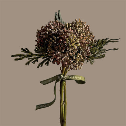 Skimmia Bud Ball (Fernleaf Edit) — Olive Russet Bicolour