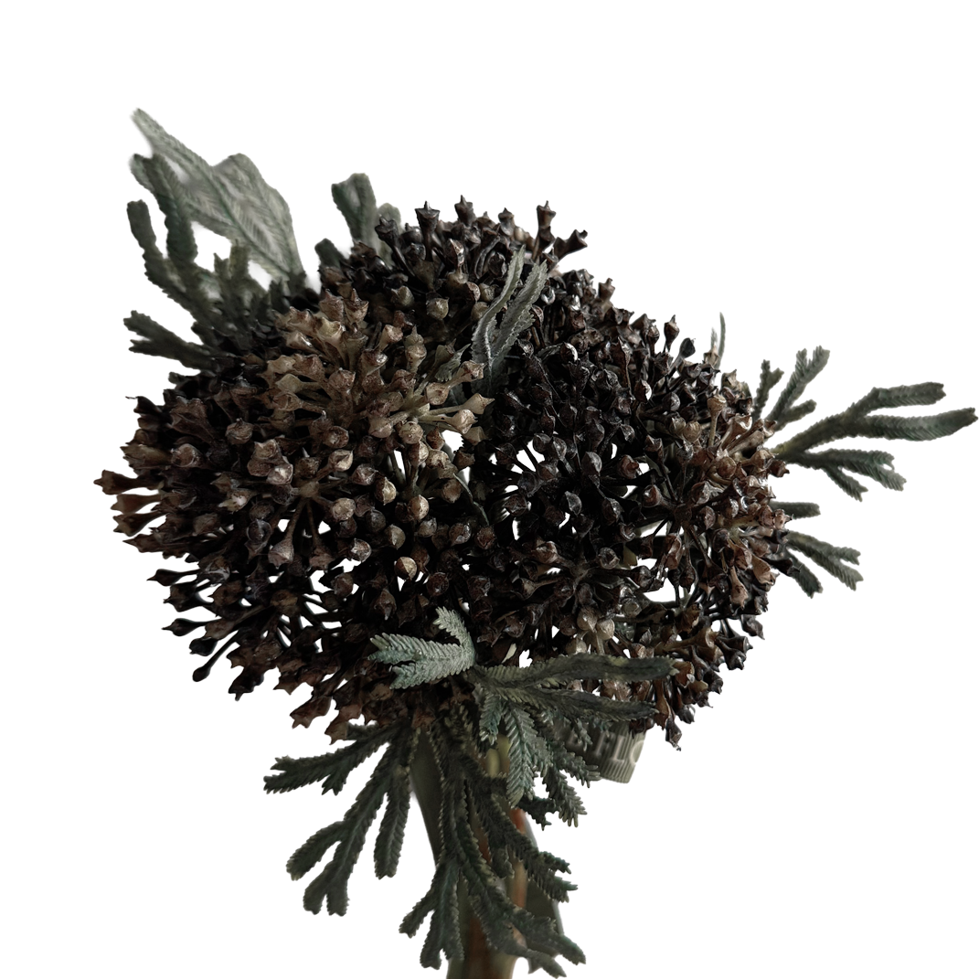 Skimmia Bud Ball (Fernleaf Edit) — Berry Black