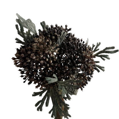 Skimmia Bud Ball (Fernleaf Edit) — Berry Black