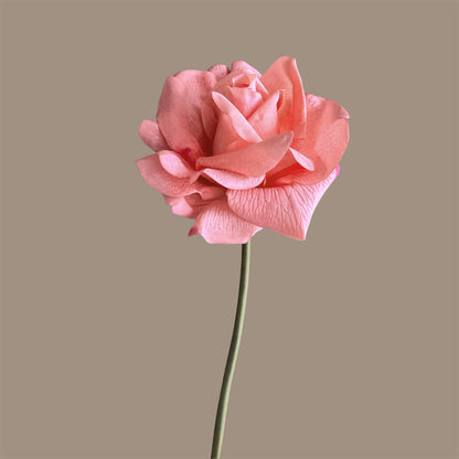 Leafless Rose — Paramour Pink