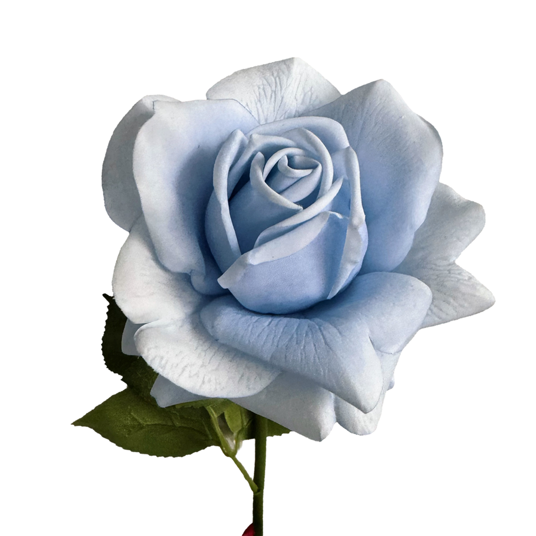 Aesthetic Modular Leaf Ensemble Rose — Skylight Blue