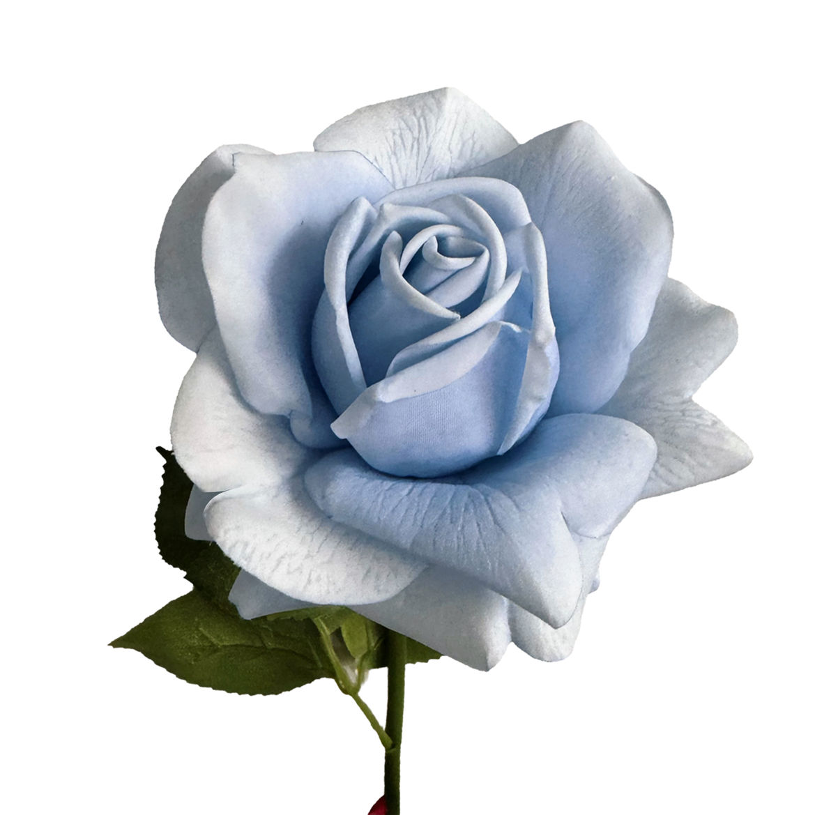 Aesthetic Modular Leaf Ensemble Rose — Skylight Blue