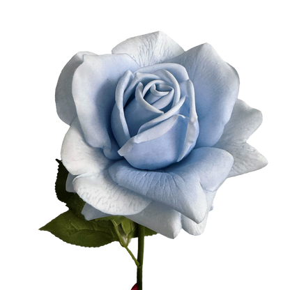 Aesthetic Modular Leaf Ensemble Rose — Skylight Blue