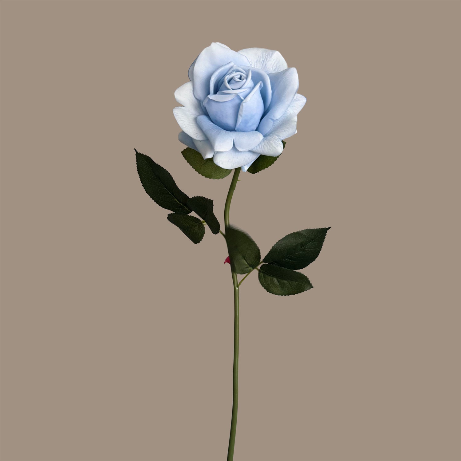 Aesthetic Modular Leaf Ensemble Rose — Skylight Blue