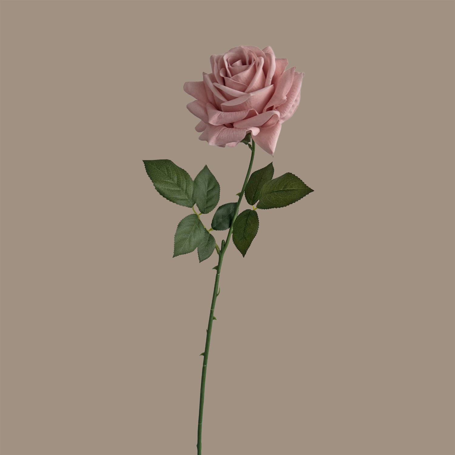 Artful Garden Rose — Nude Pink