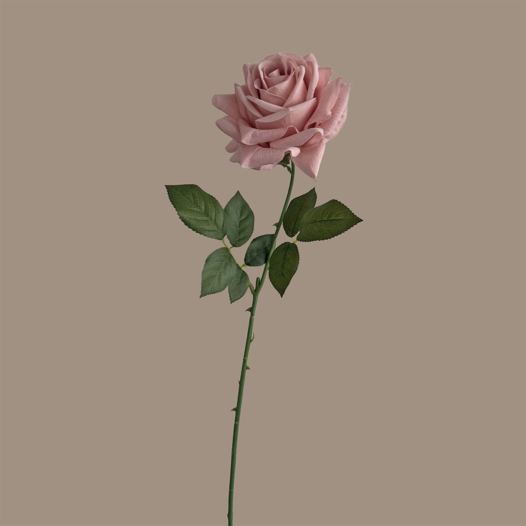 Artful Garden Rose — Nude Pink